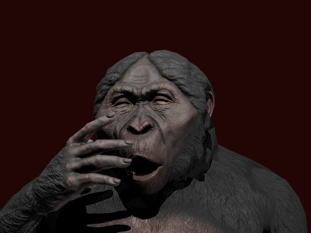 𝐴𝑢𝑠𝑡𝑟𝑎𝑙𝑜𝑝𝑖𝑡ℎ𝑒𝑐𝑢𝑠 𝘢𝘧𝘳𝘪𝘤𝘢𝘯𝘶𝘴