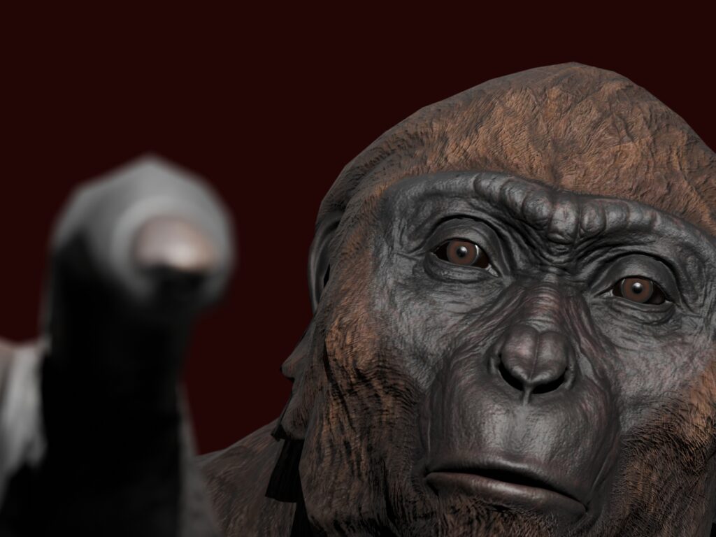 𝘈𝘳𝘥𝘪𝘱𝘪𝘵𝘩𝘦𝘤𝘶𝘴 𝘳𝘢𝘮𝘪𝘥𝘶𝘴