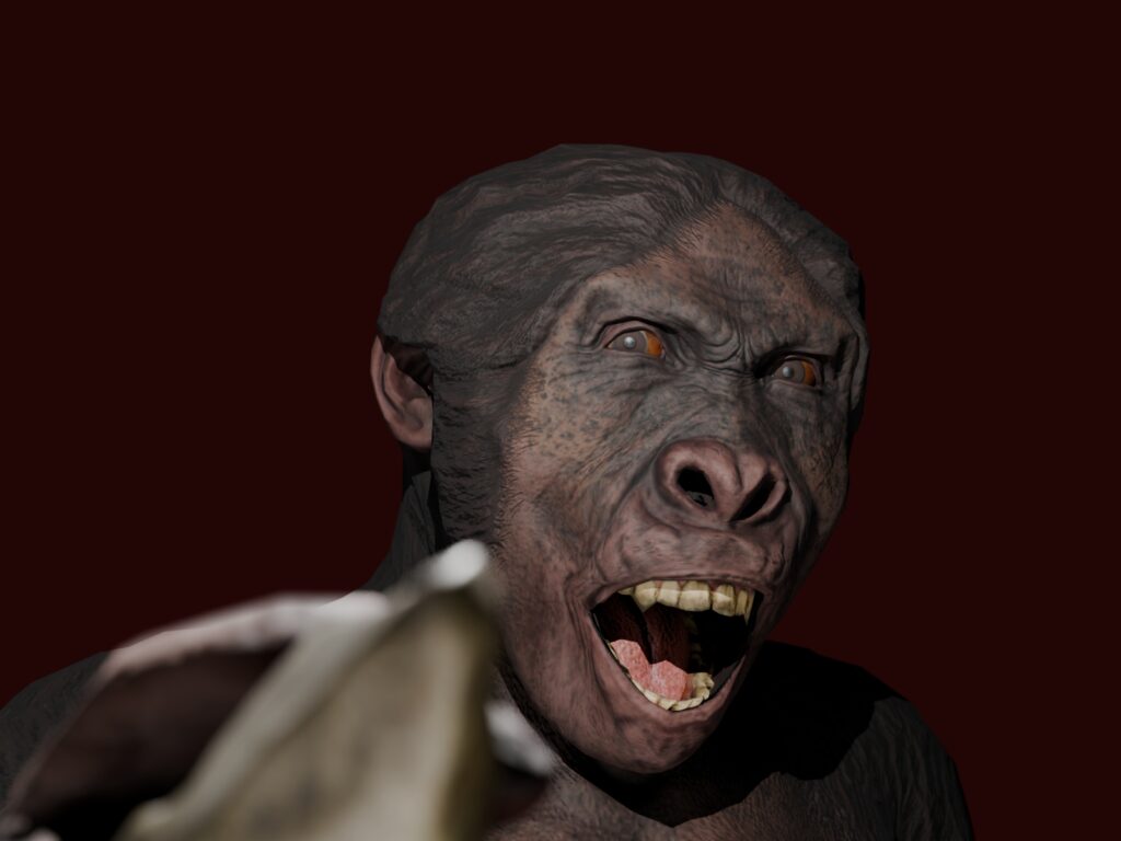 𝘏𝘰𝘮𝘰 𝘩𝘢𝘣𝘪𝘭𝘪𝘴