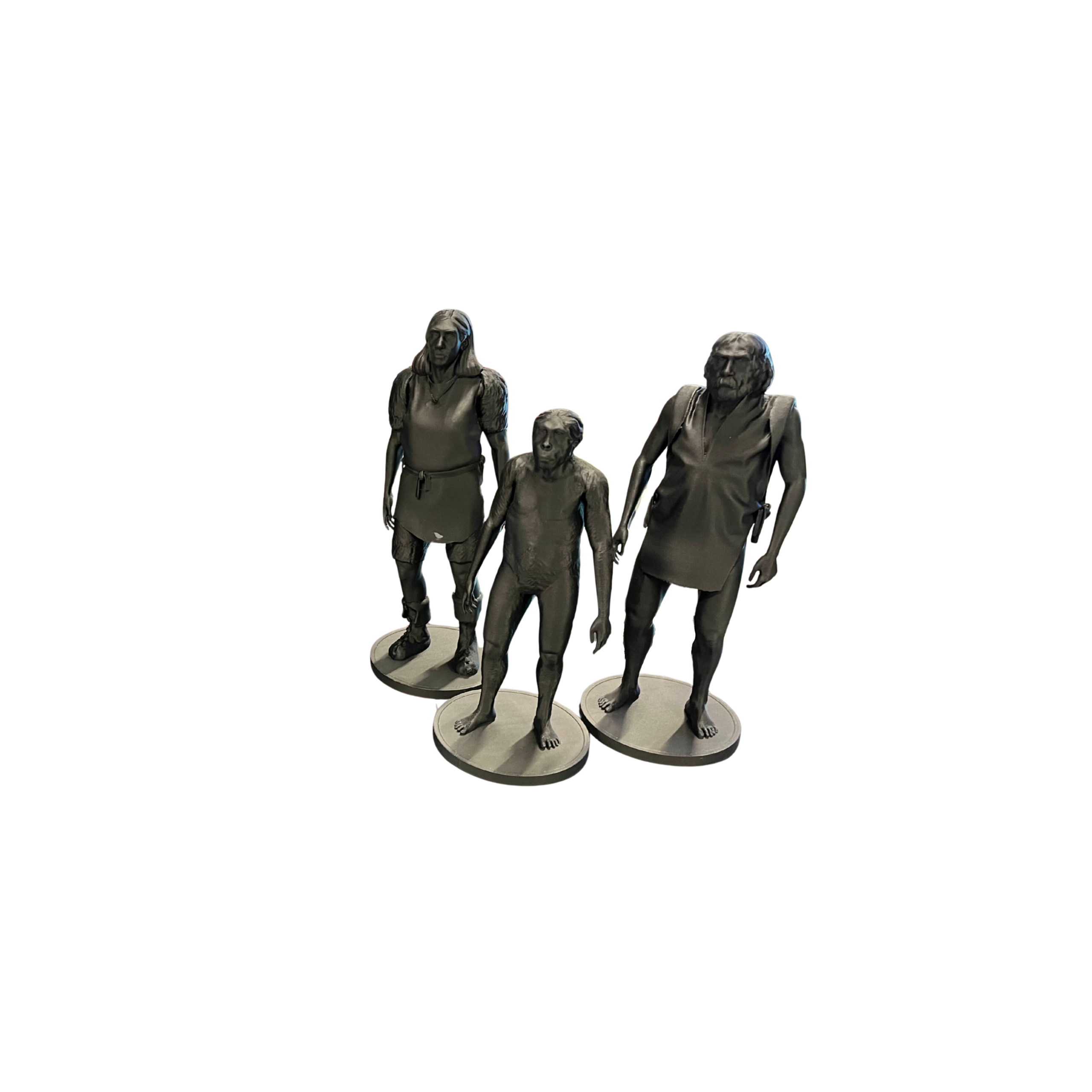 Australopithecus afarensis