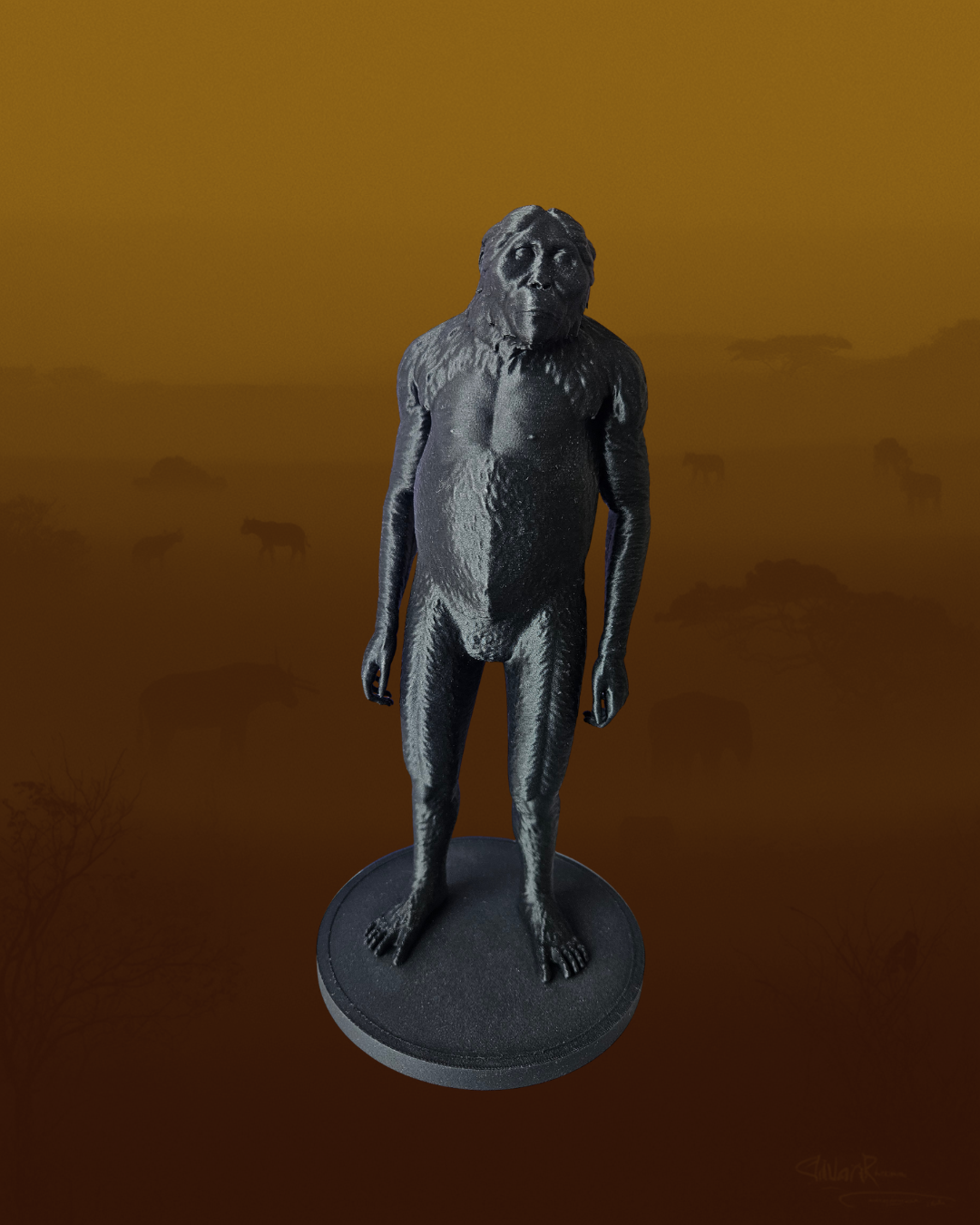 Australopithecus africanus