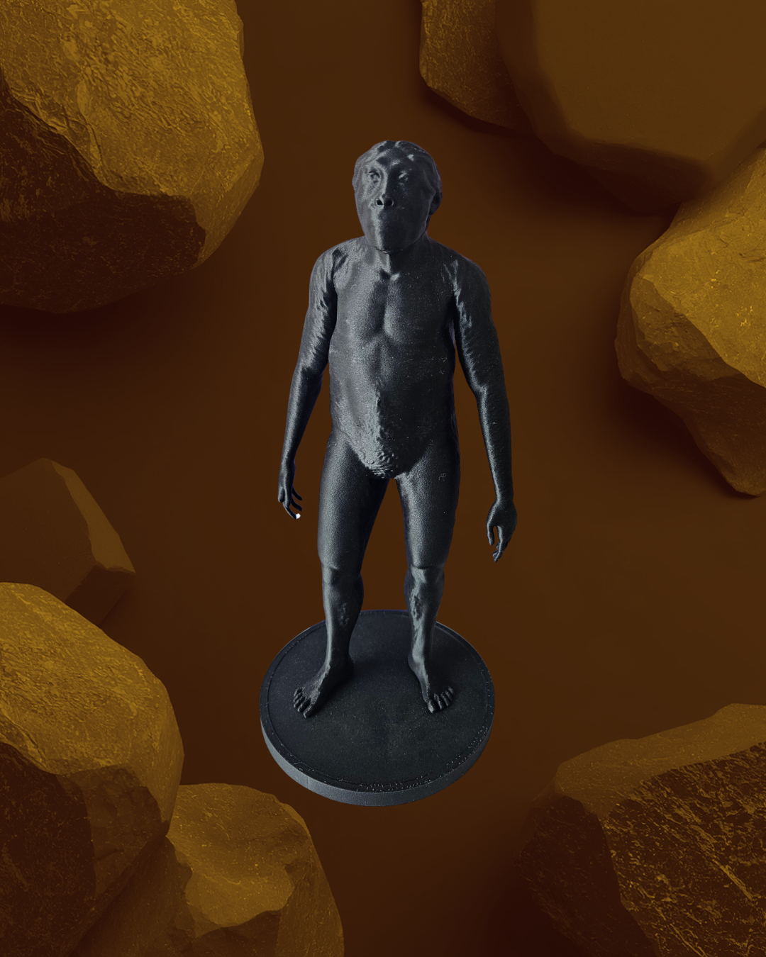 Homo habilis